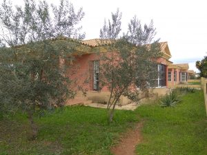 Chalet adosado campo olivo